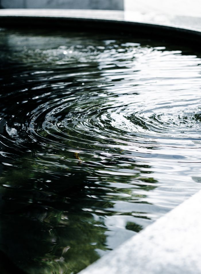 Tranquil pond with circular ripples reflecting natural light, creating a peaceful scene.